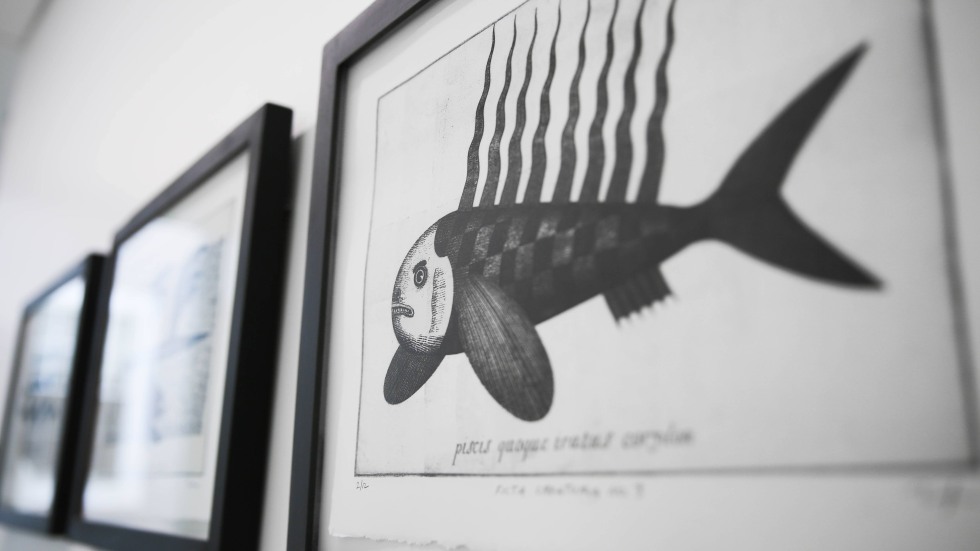 framed print of a fish
